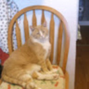 Meet your Posher, M. s.